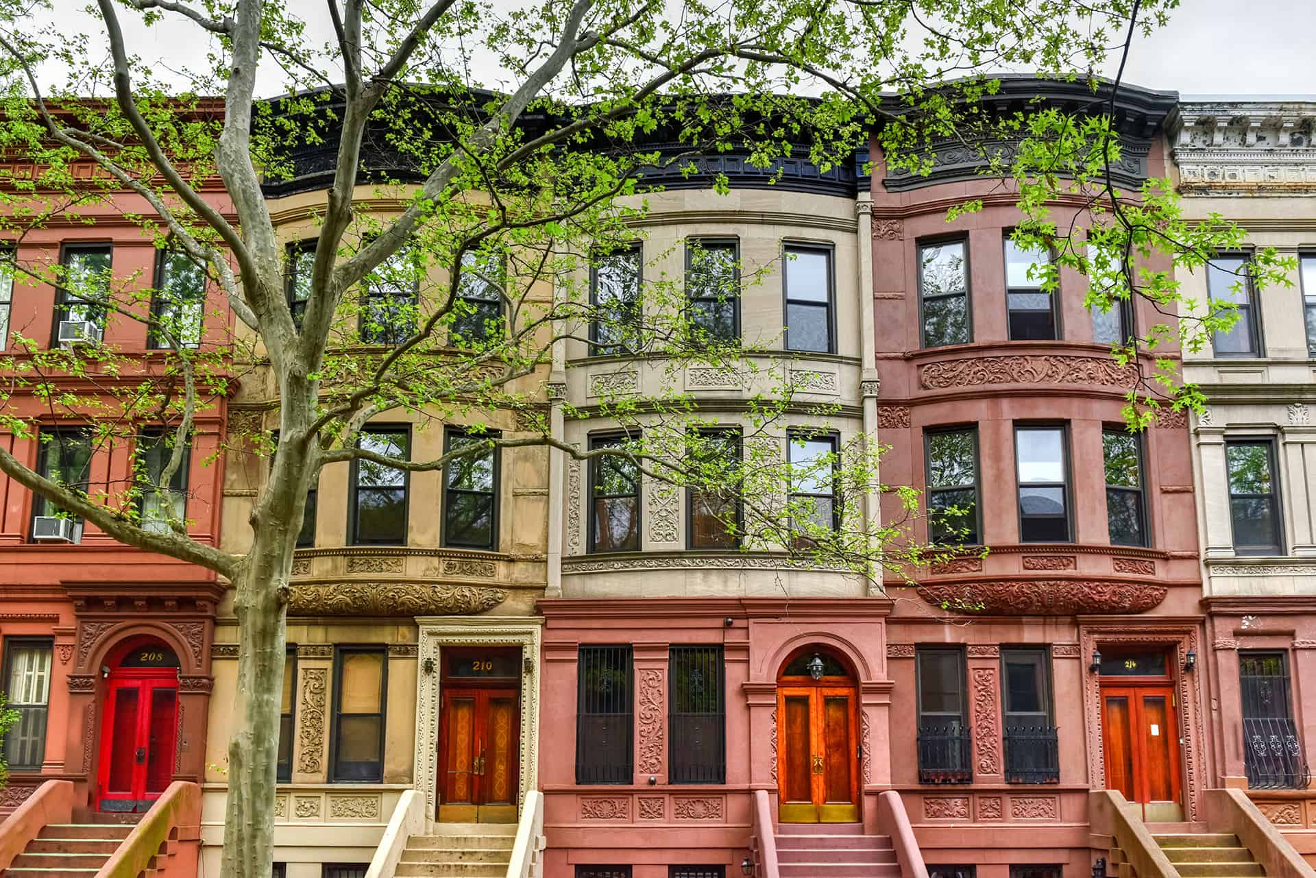 harlem new york