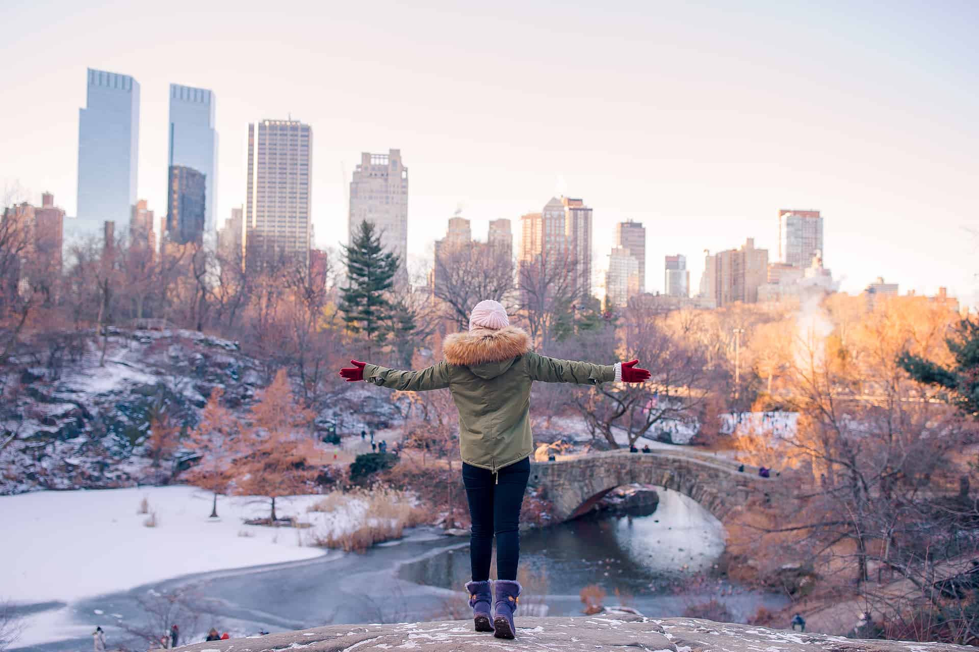 hiver central park hiver central park