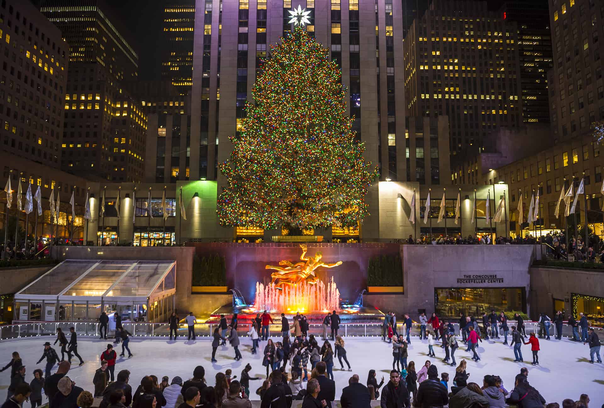 new york noel