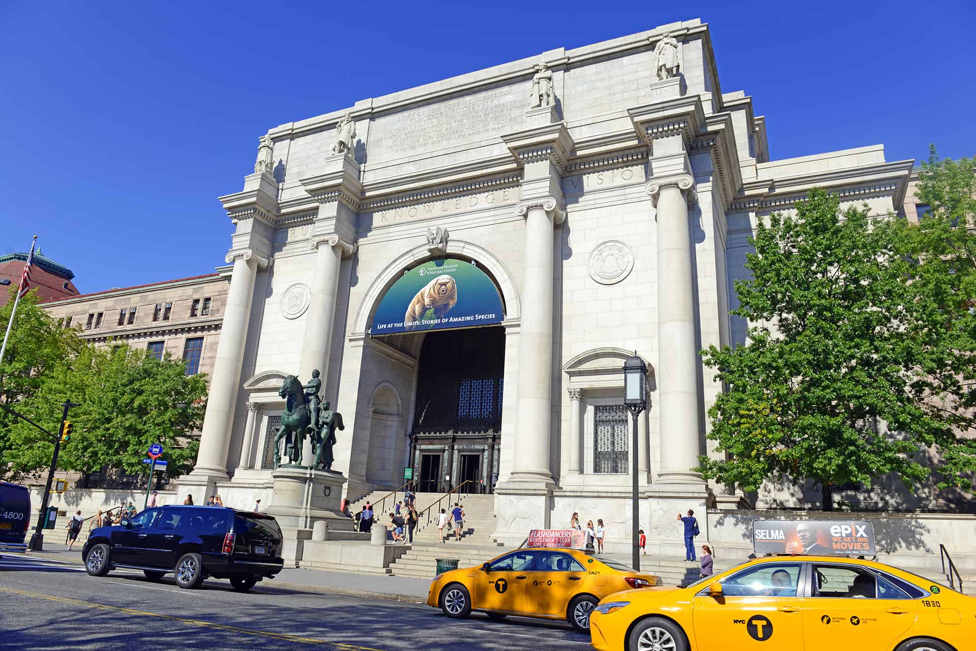 musee a voir new york