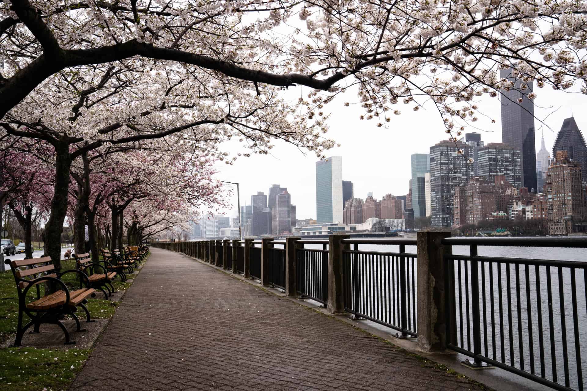 visiter new york en avril