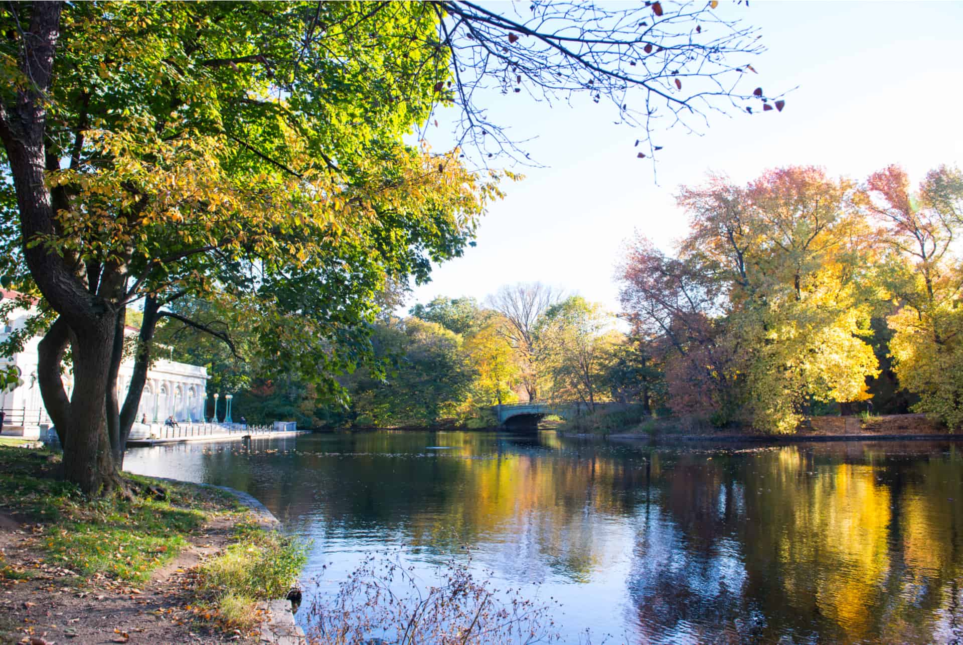 les parcs de new york