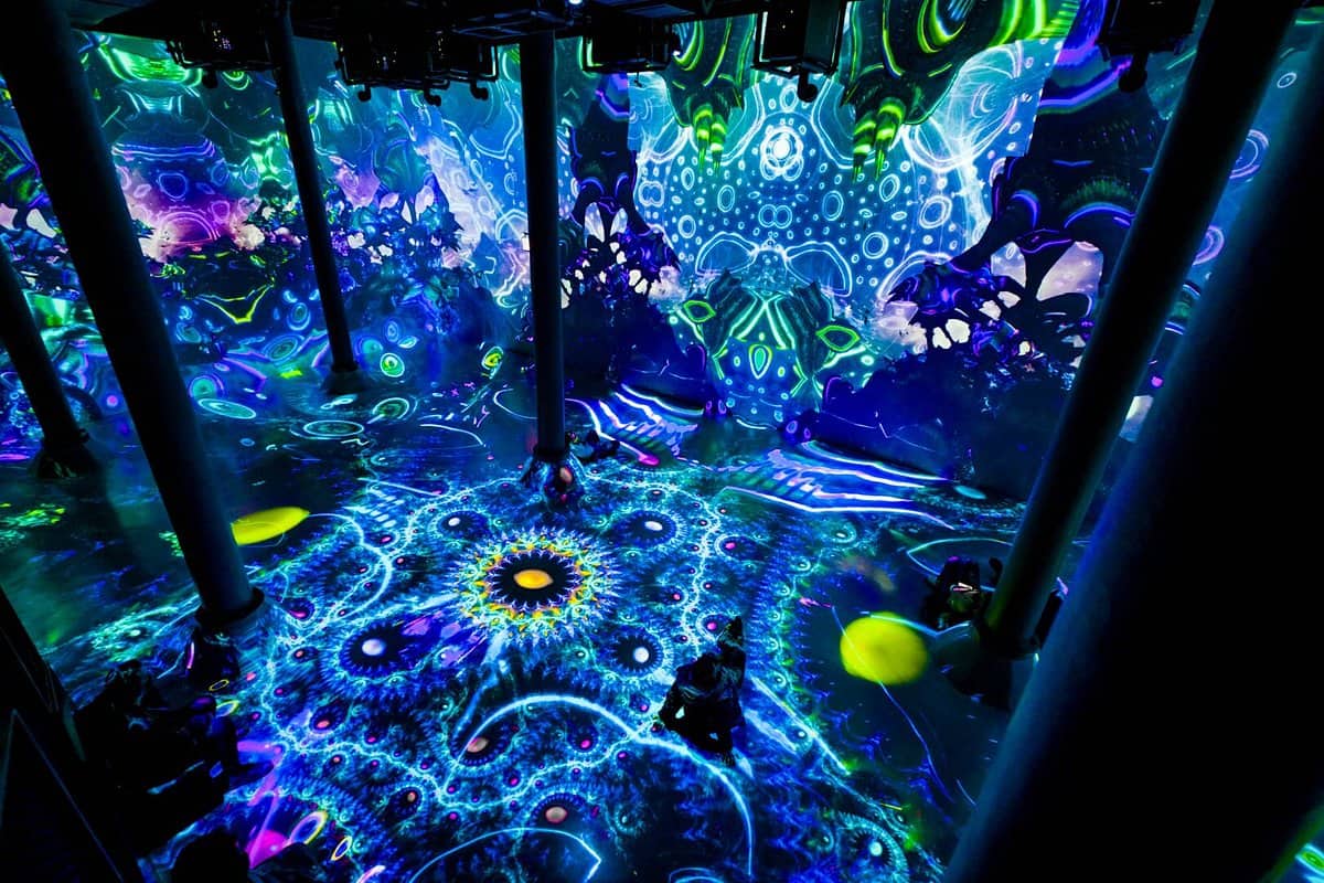 artechouse nyc
