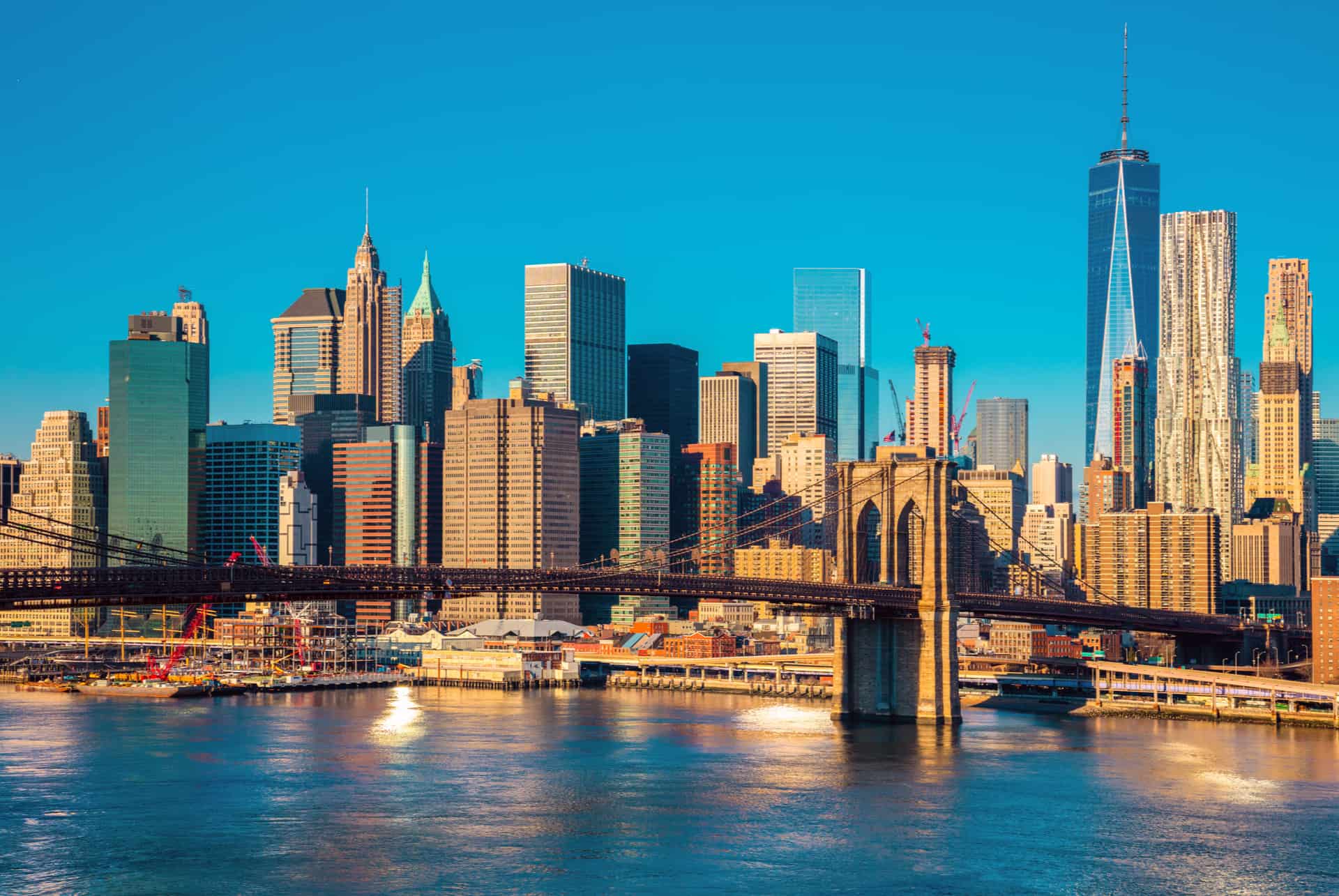 new york activites