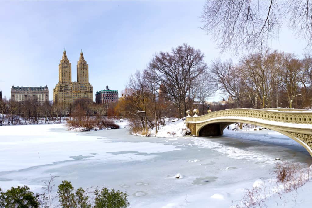 central park hiver