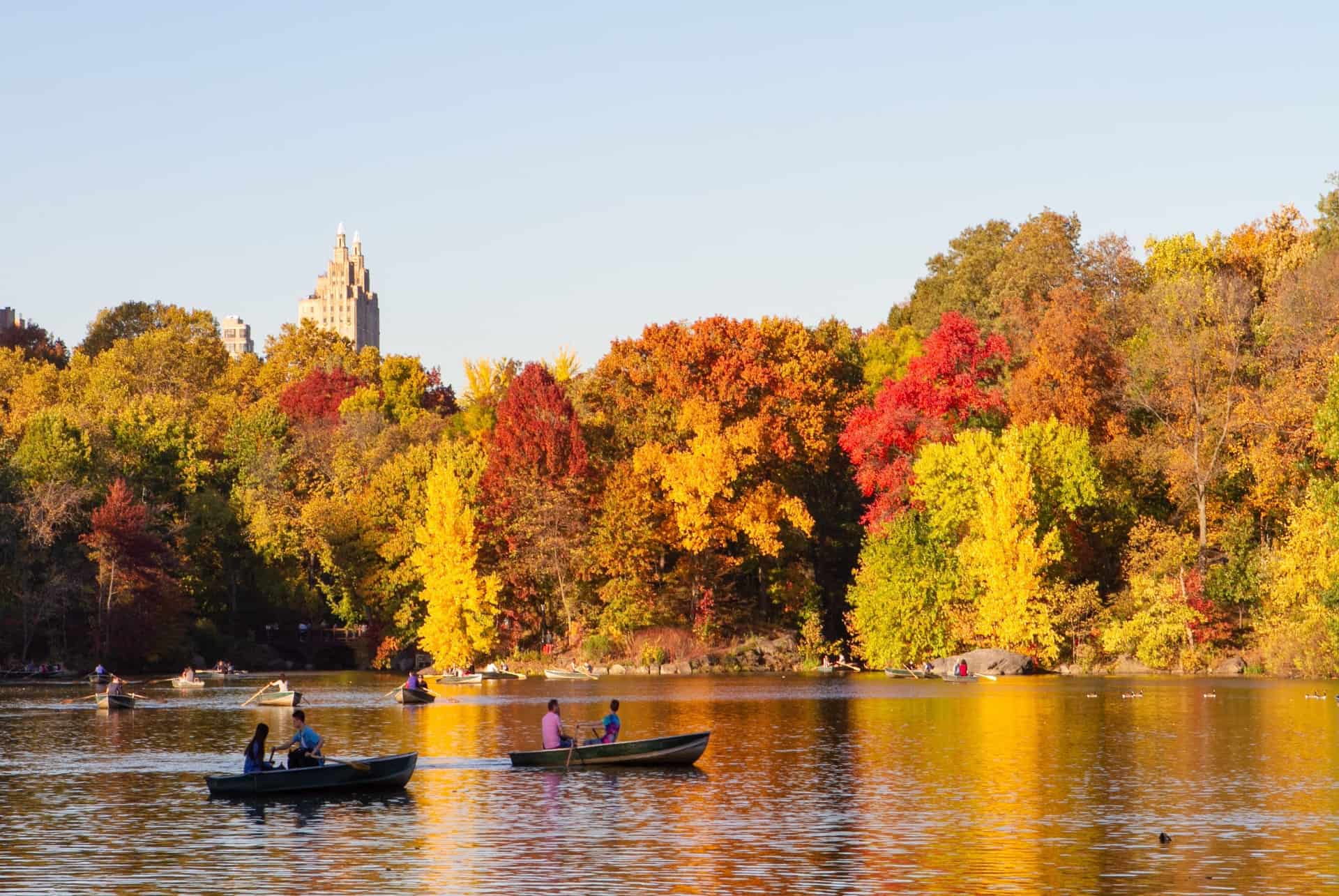 activites en automne