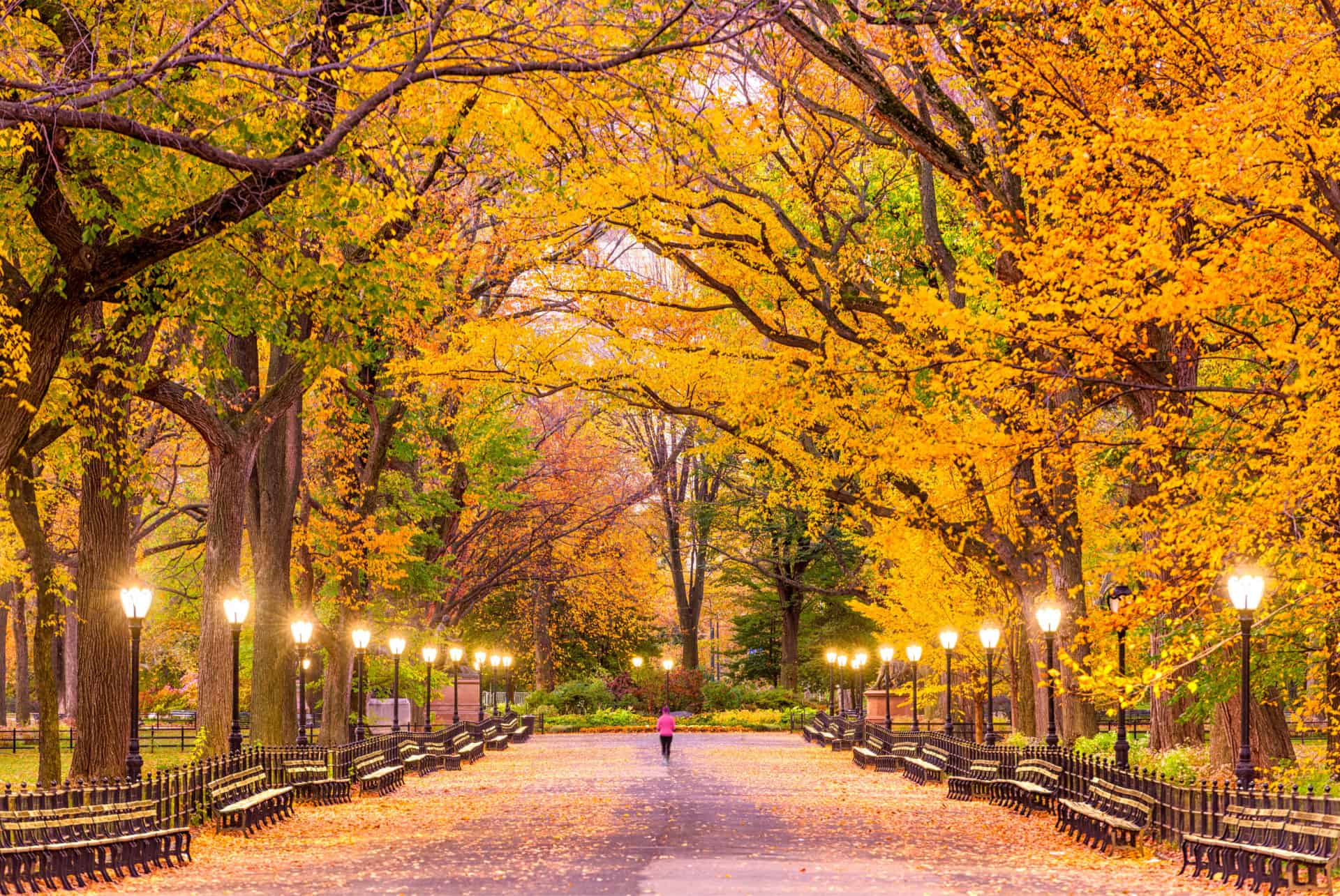 parcs automne new york