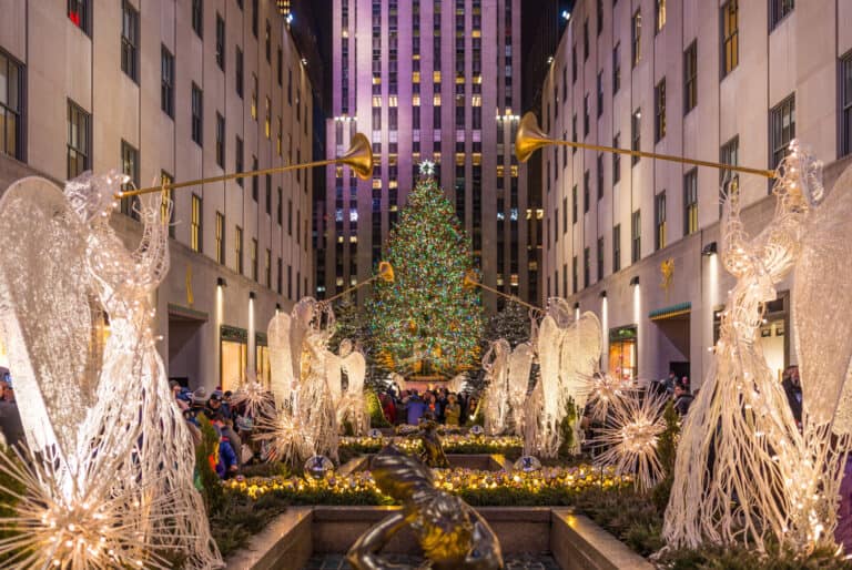 plus beaux sapins new york