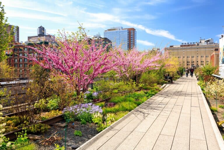 Visite guidée de la High Line