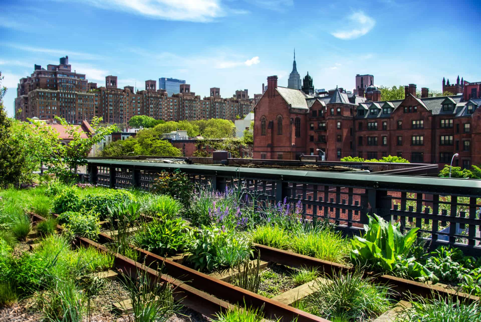 impact ville high line