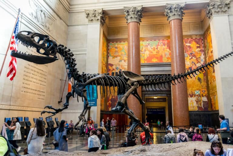 Entrée au Musée américain d'Histoire naturelle