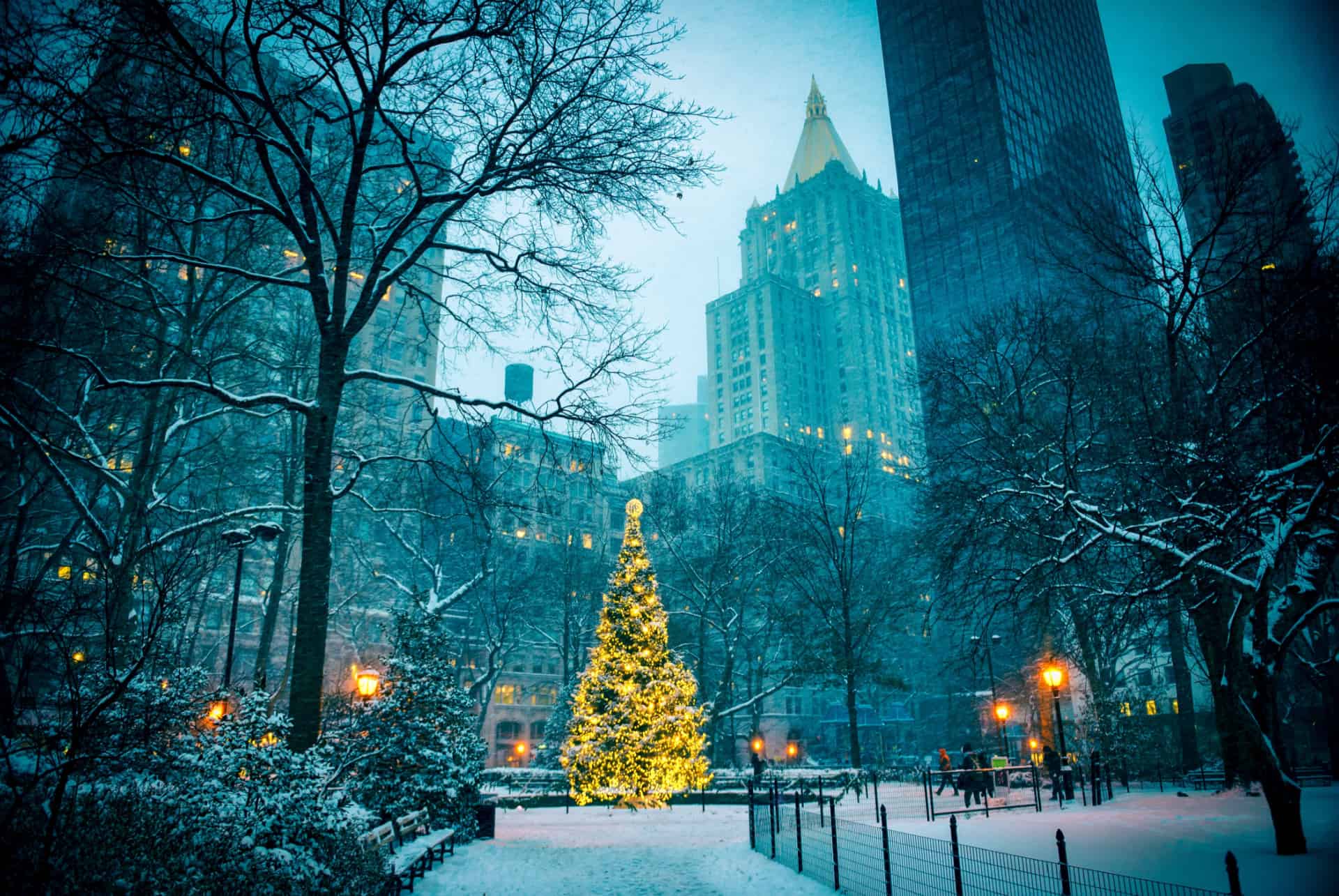 sapin madison square noel new york