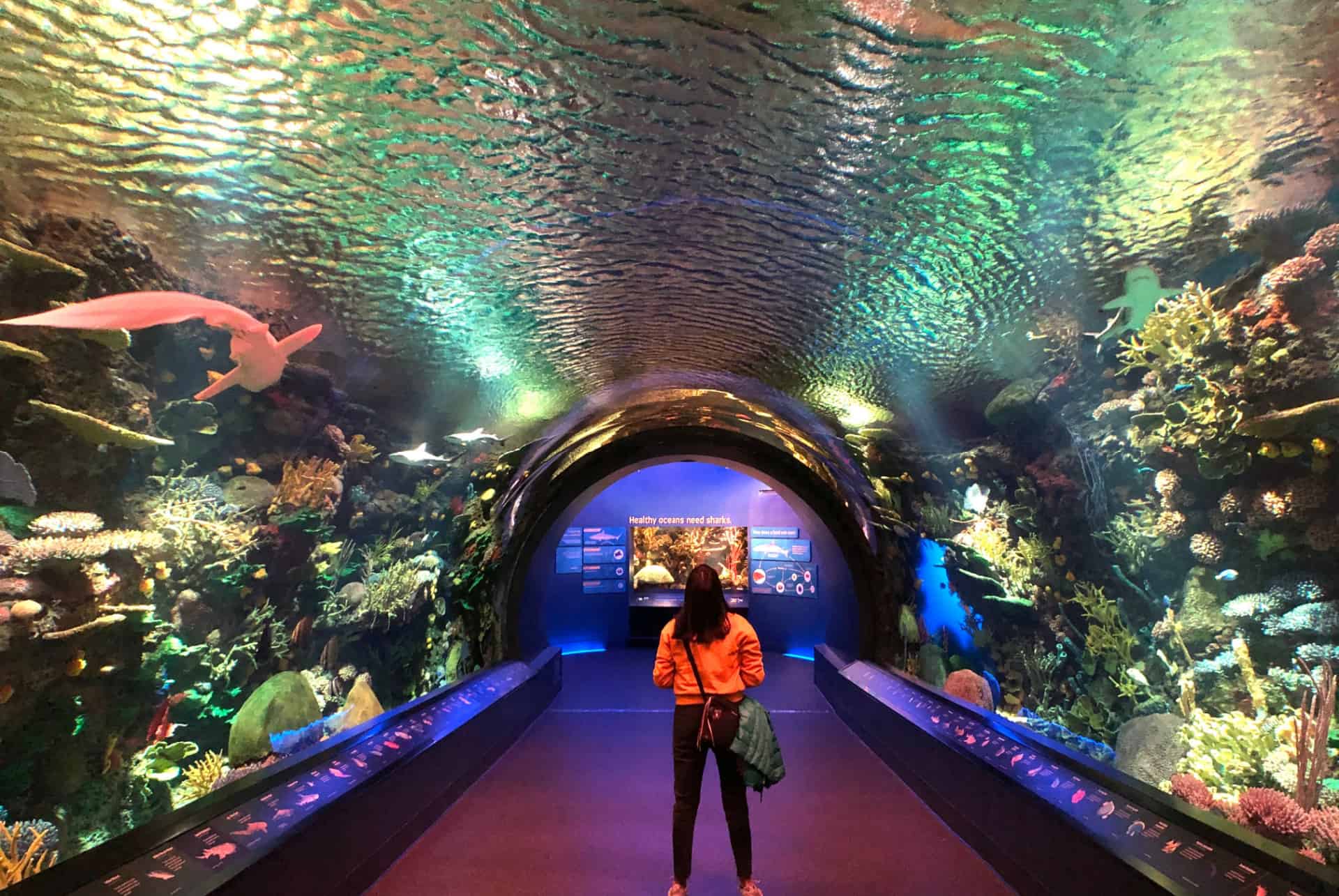 coney island aquarium de new york