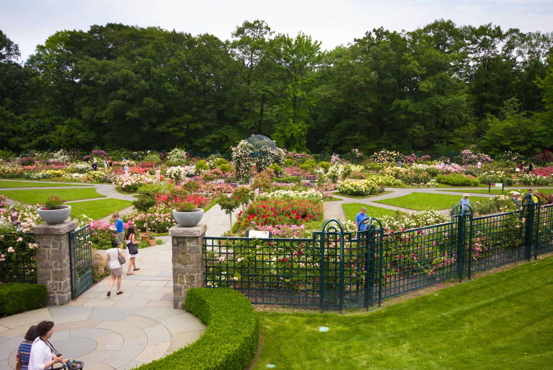 jardin botanique de new york