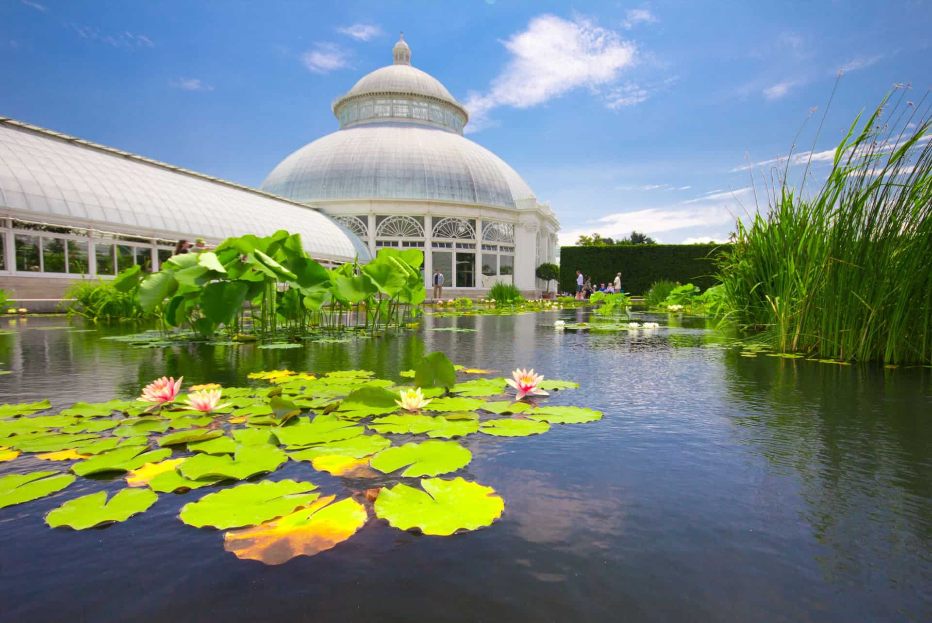 jardin botanique new york