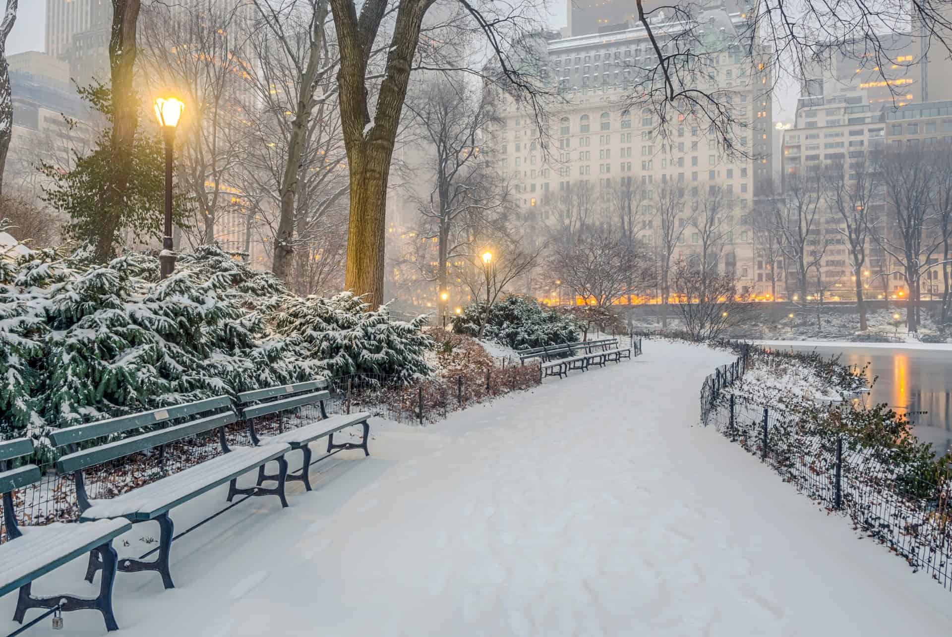 central park neige