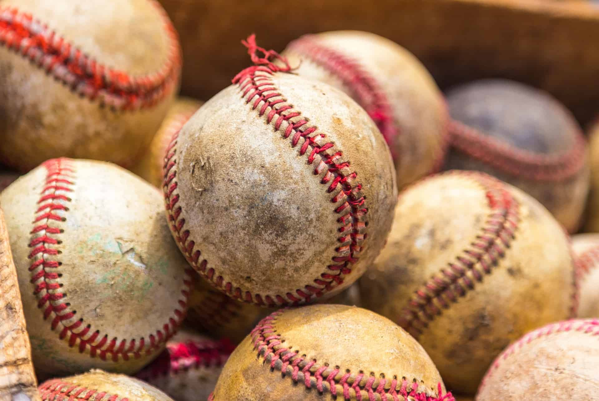 new york yankees activites