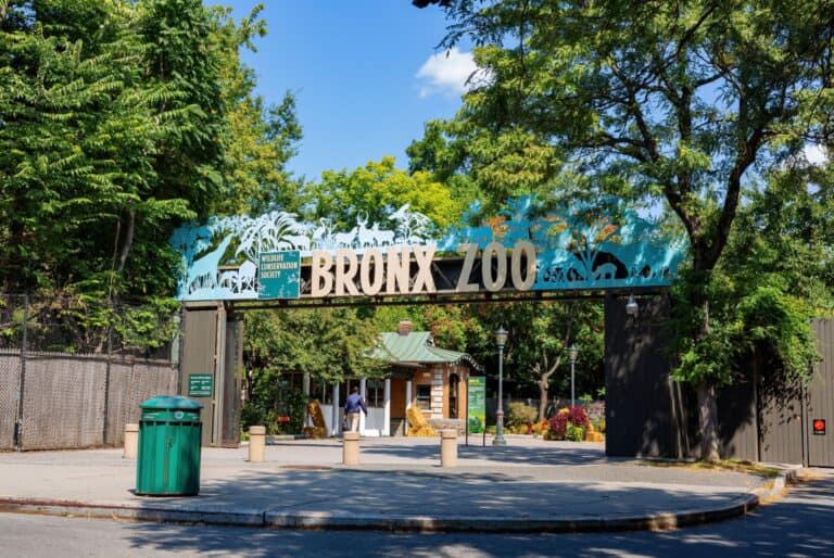 Billet pour le Zoo du Bronx