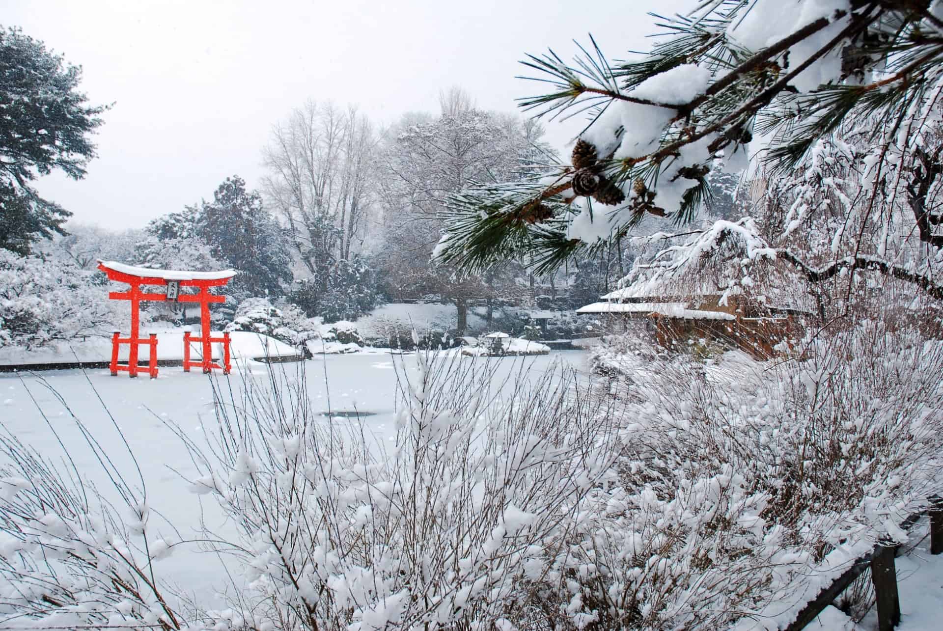 japanese pond and hill garden hiver new york