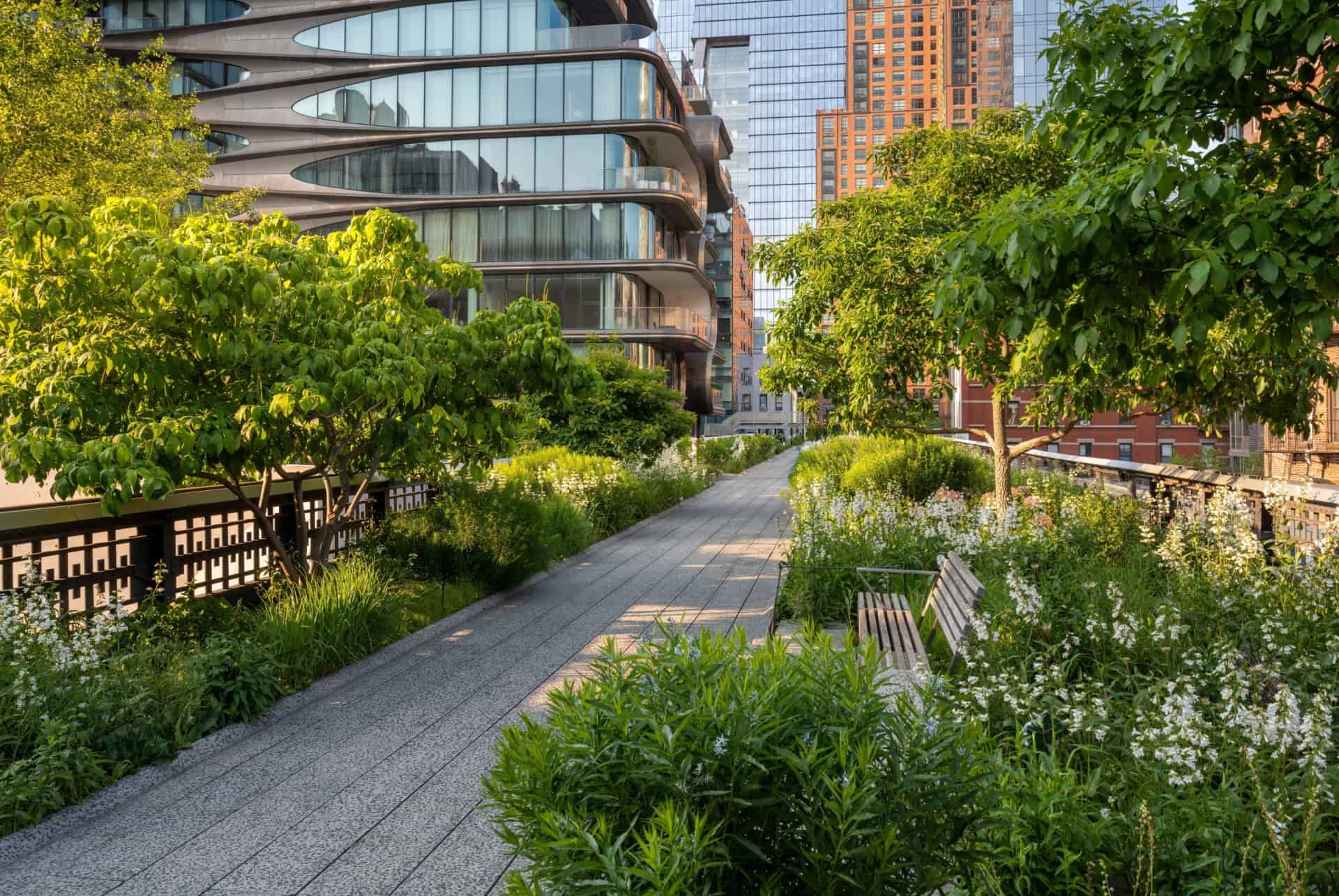 High Line Park au quartier de chelsea à new york