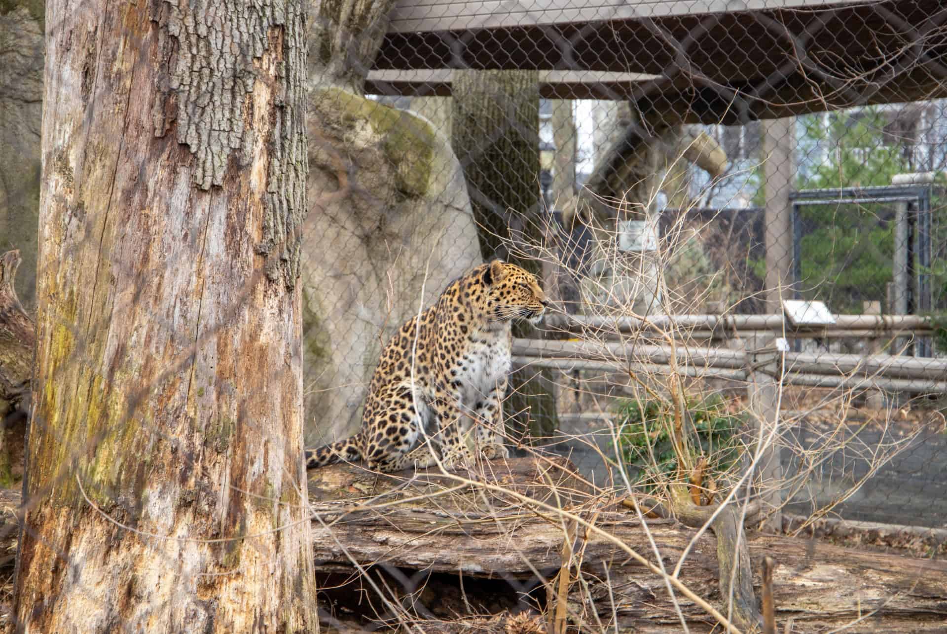 Le Zoo de Staten Island Le Zoo de Staten Island