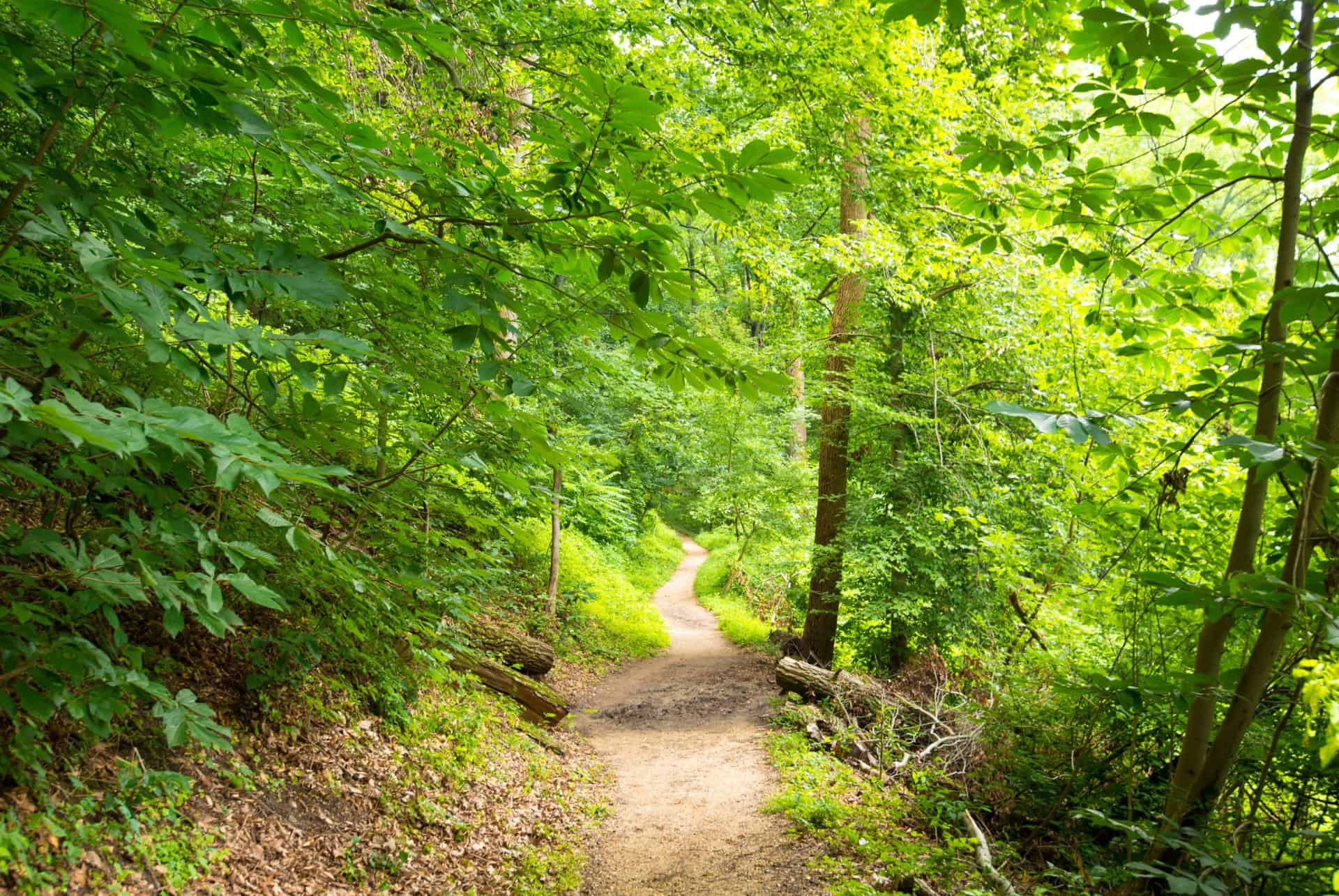 rock creek park rock creek park